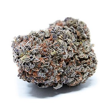 Grape Crush marijuana strain